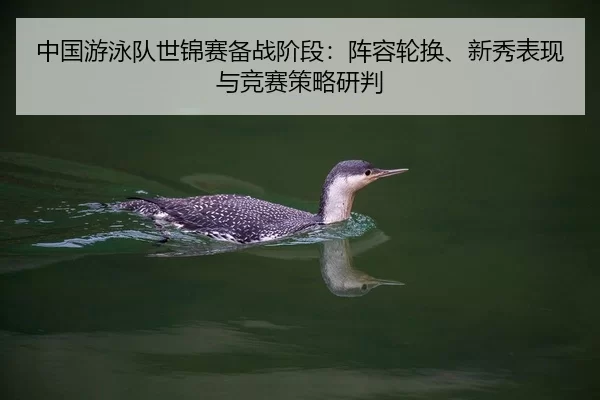 zhong-guo-you-yong-dui-shi-jin-sai-bei-zhan-jie-duan-zhen-rong-lun-huan-xin-xiu-biao-xian-yu-jing-sai-ce-lve-yan-pan-2-588.jpg